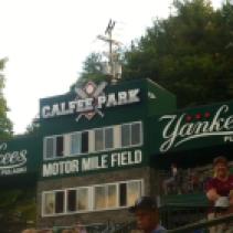 Pulaski Yankees Minor League Baseball